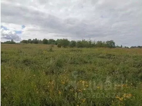 Участок в Московская область, Серпухов городской округ, пос. ... - Фото 0