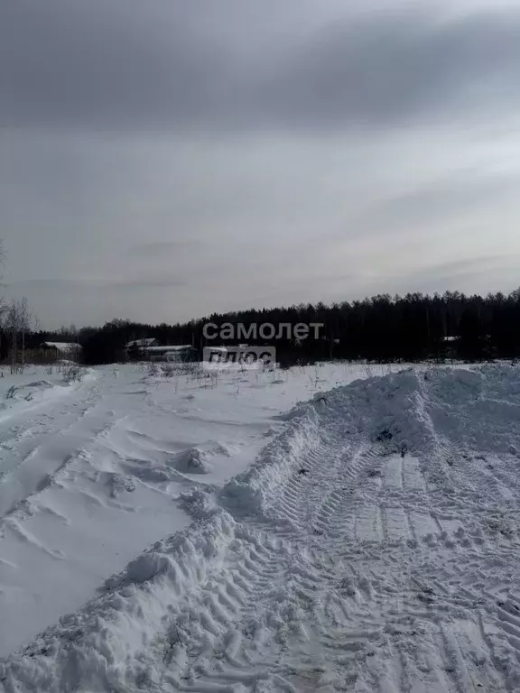 Участок в Челябинская область, Миасс Центральный территориальный ... - Фото 1