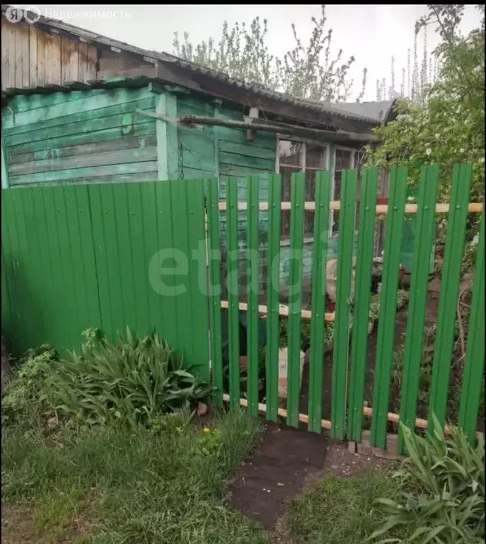 Дом в Саратов, СНТ Жасмин (40 м) - Фото 1