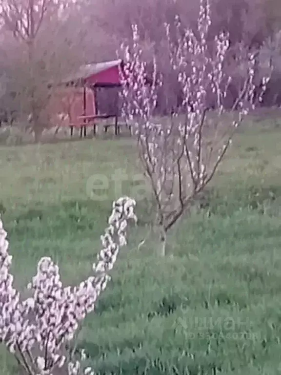 Участок в Белгородская область, Красногвардейский район, Ливенское ... - Фото 1