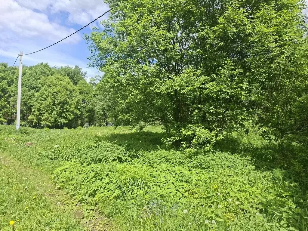 Участок в Московская область, Мытищи городской округ, д. Долгиниха, д. ... - Фото 1