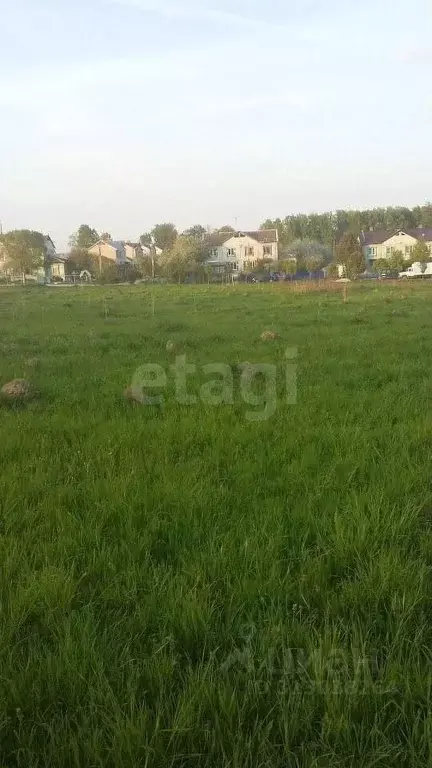 Участок в Тульская область, Алексин городской округ, д. Борисово  ... - Фото 1