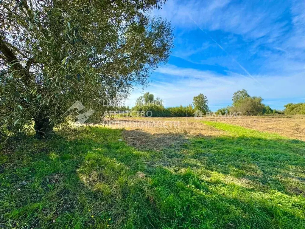 Участок в Рязанская область, Спасский район, Панинское с/пос, с. ... - Фото 1