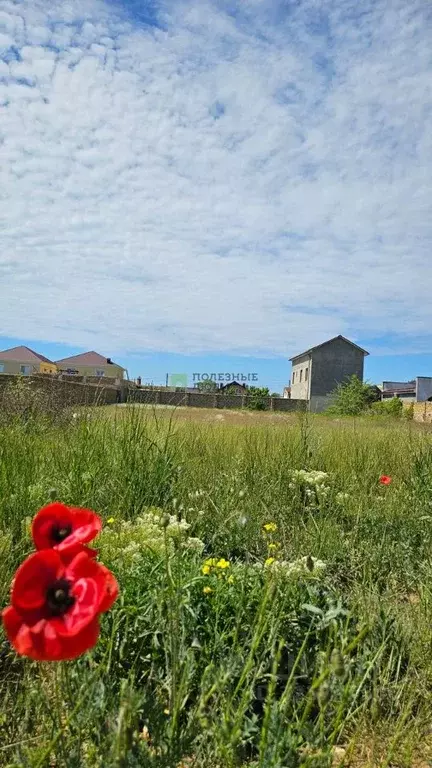 Участок в Крым, Евпатория городской округ, Заозерное пгт ул. ... - Фото 1