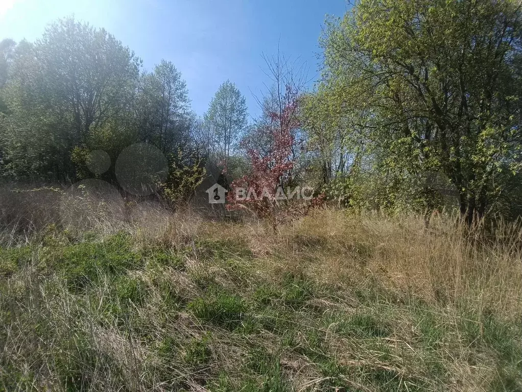 Участок 6 сот. (СНТ, ДНП) - Фото 0