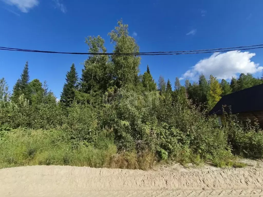 Участок в Ханты-Мансийский АО, Ханты-Мансийск Лимпопо СОТ,  (11.8 ... - Фото 1