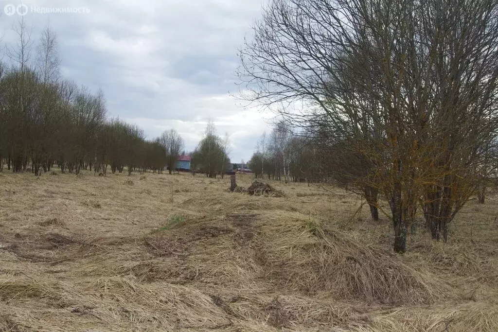 Участок в Московская область, городской округ Серпухов, ДНП ... - Фото 1