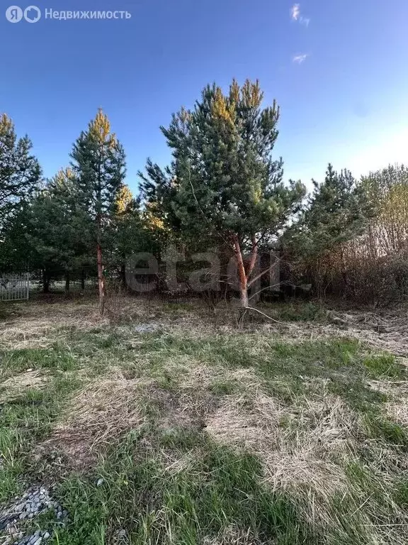 Участок в Сарапул, посёлок Котово, улица Речников (9.6 м) - Фото 2