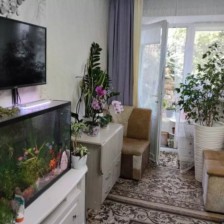 Студия Краснодарский край, Анапа Крымская ул., 218 (25.0 м) - Фото 2