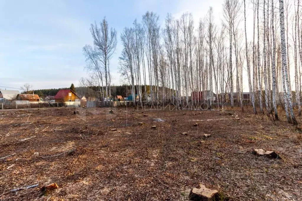 Участок в Тюменская область, Тюменский район, Искатель садовое ... - Фото 0