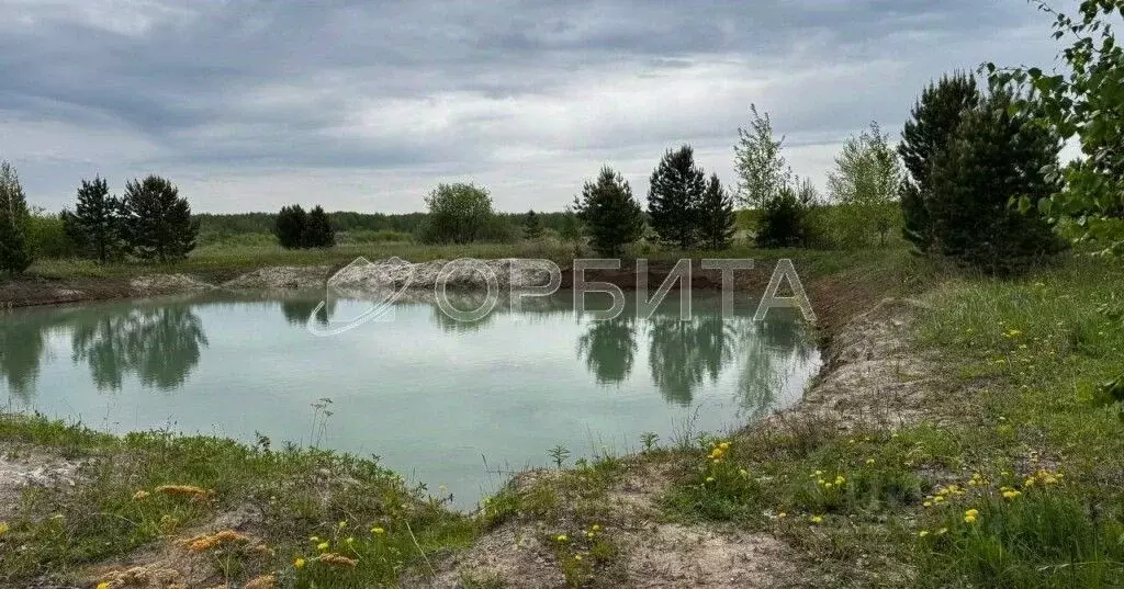 Участок в Тюменская область, Тюменский район, с. Каменка  (20.0 сот.) - Фото 0
