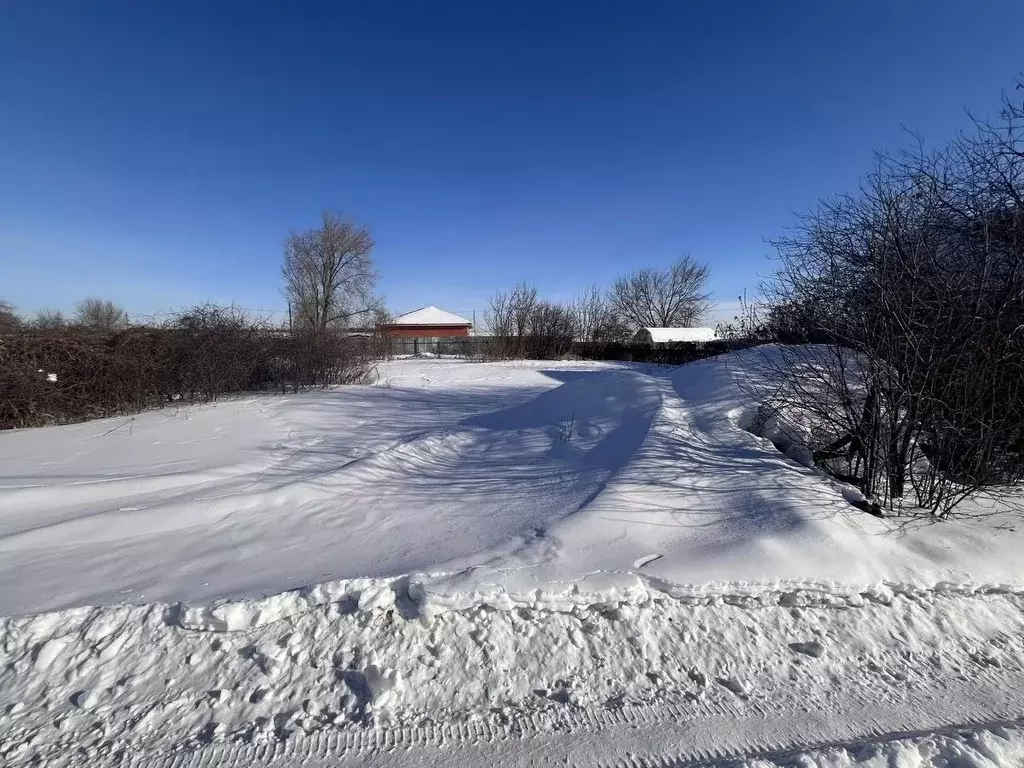 Участок в Омская область, Омск СНТ Ромашка ТСН, аллея 14-я, 28 (6.2 ... - Фото 2