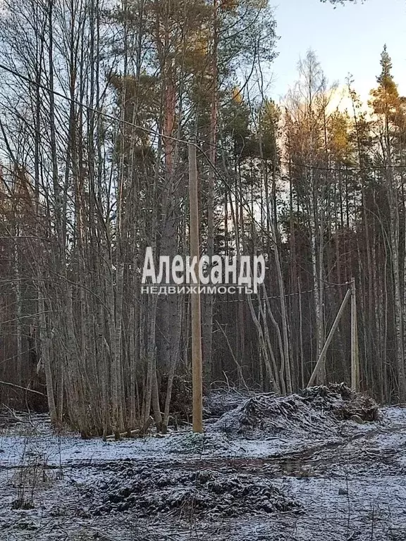 Участок в Ленинградская область, Приозерский район, Ларионовское ... - Фото 2
