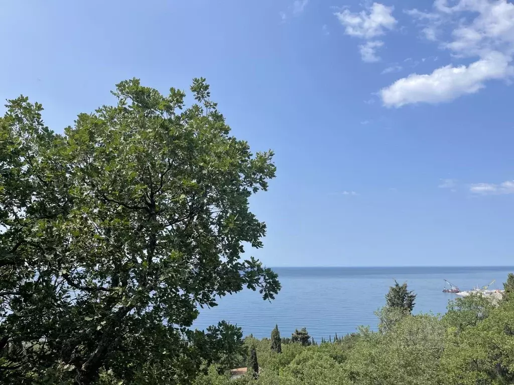 Участок в Крым, Ялта муниципальный округ, Понизовка пгт ул. ... - Фото 0