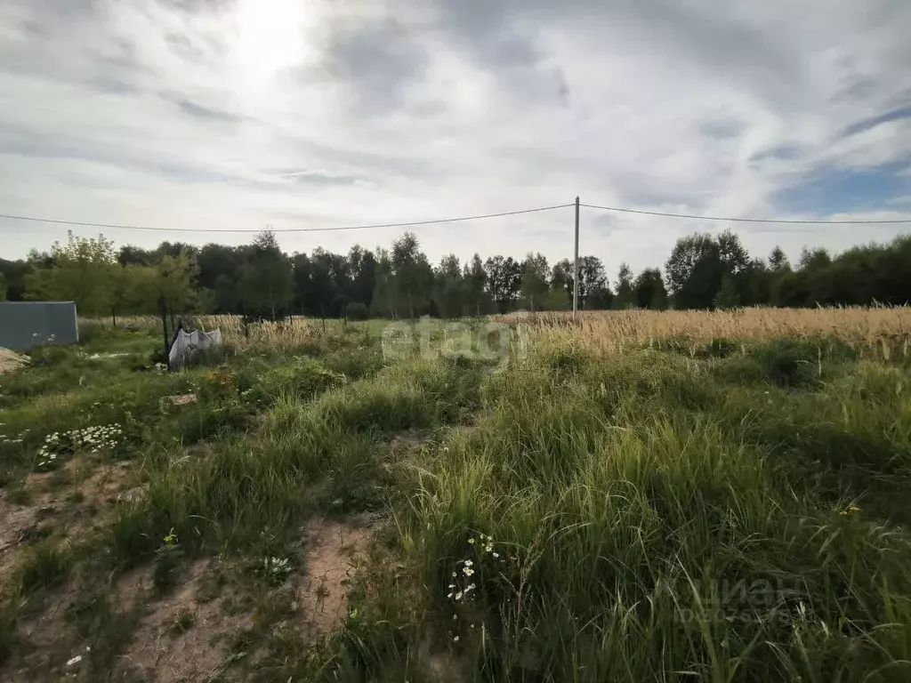 Участок в Московская область, Коломна городской округ, с. Федосьино  ... - Фото 1