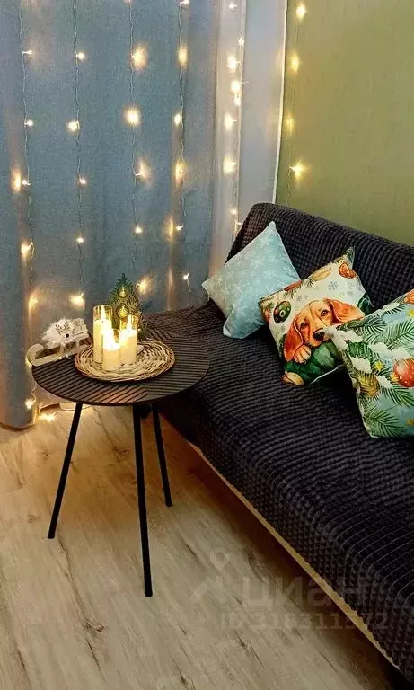 1-к кв. Ленинградская область, Всеволожский район, Романовское с/пос, ... - Фото 1