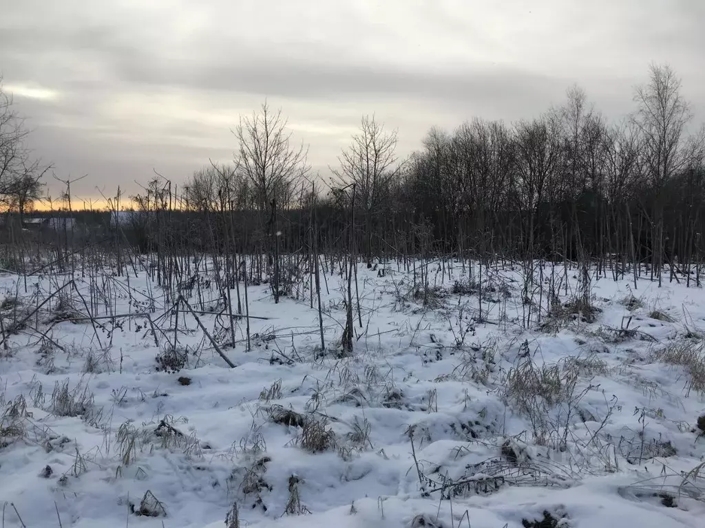 Участок в Московская область, Пушкинский городской округ, д. Цернское  ... - Фото 0