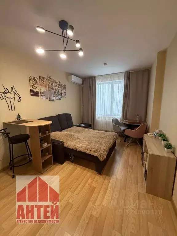 1-к кв. Нижегородская область, Нижний Новгород д. Анкудиновка, ул. ... - Фото 1