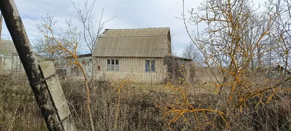 Дом в Рязанская область, Шиловское городское поселение, с. Борок  (45 ... - Фото 1