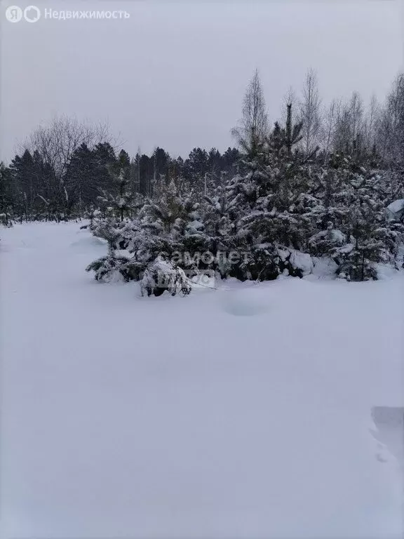 Участок в село Шаманка, Комсомольская улица (13 м) - Фото 0