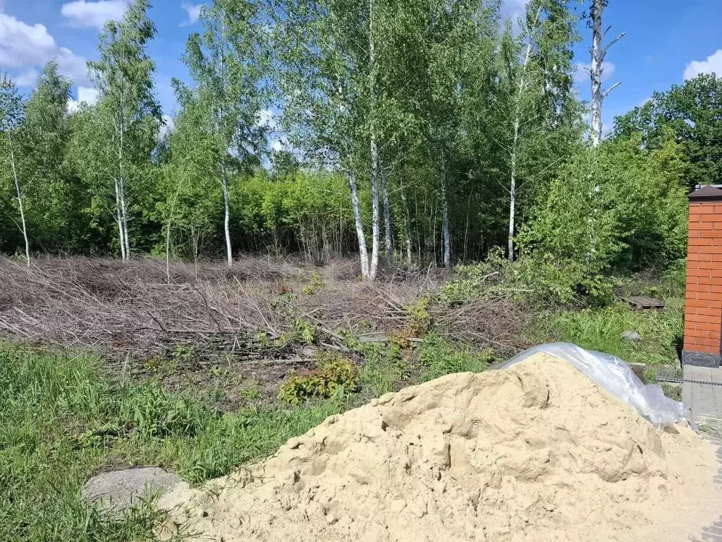 Участок в Белгородская область, Белгородский район, Тавровское с/пос, ... - Фото 0