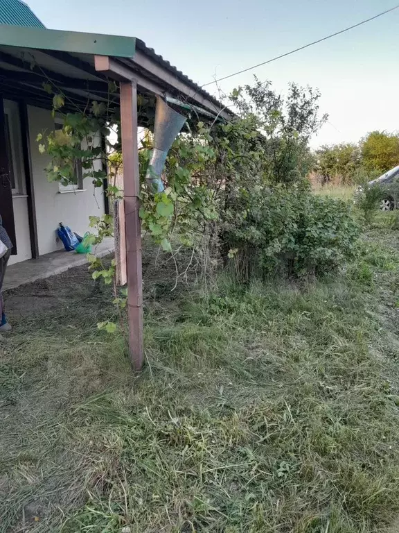 Дача 16,5 м на участке 8 сот. - Фото 0