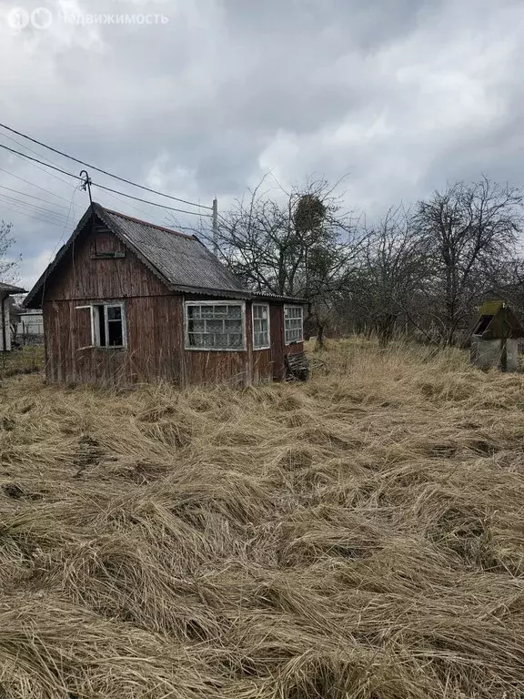 Участок в Калининград, СНТ Янтарь, 7-я линия (8.7 м) - Фото 1