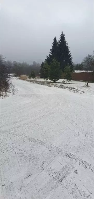 Участок в Владимирская область, Кольчугинский муниципальный округ, ... - Фото 1