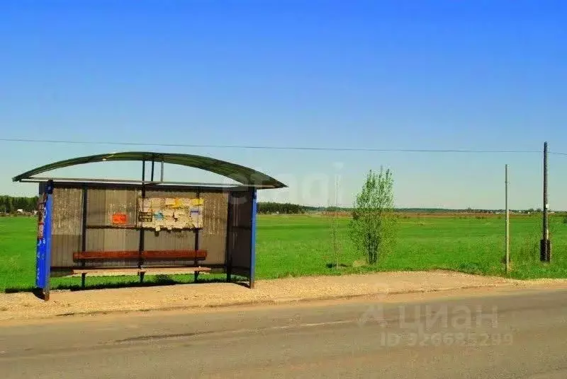 Участок в Кировская область, Киров городской округ, д. Гуси ул. ... - Фото 2