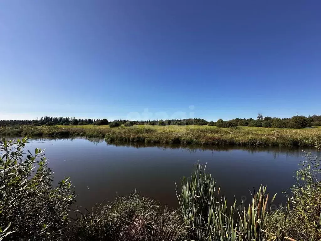 Участок в Московская область, Истра муниципальный округ, д. Деньково ... - Фото 0