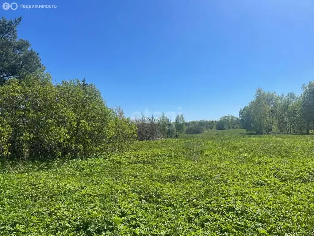 Участок в Тверская область, Калининский муниципальный округ, деревня ... - Фото 1