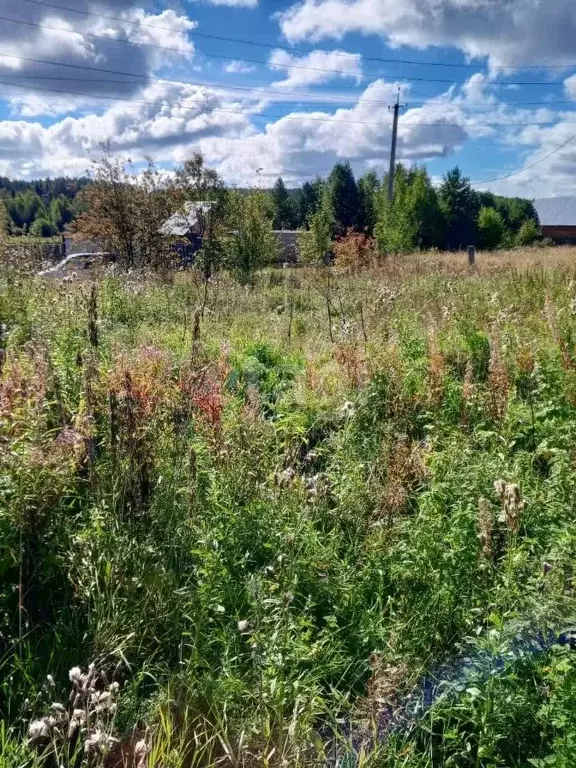 Участок в Свердловская область, Нижний Тагил муниципальный округ, с. ... - Фото 1