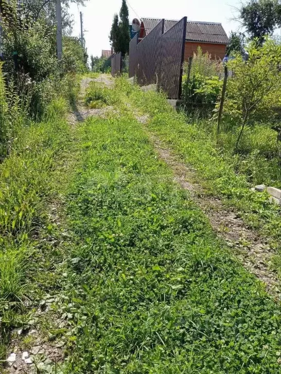 Участок в Нижегородская область, Нижний Новгород Победа СНТ, 122 (5.4 ... - Фото 2