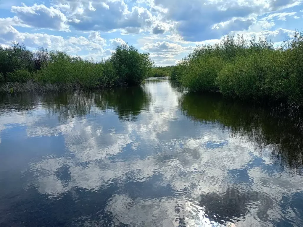Участок в Челябинская область, Аргаяшский район, Кулуевское с/пос, д. ... - Фото 2