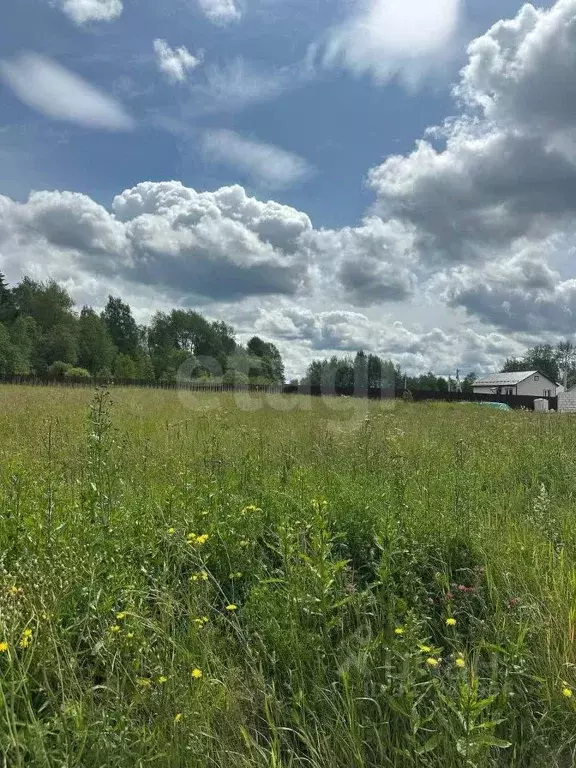 Участок в Московская область, Клин городской округ, Акатово парк кп  ... - Фото 2