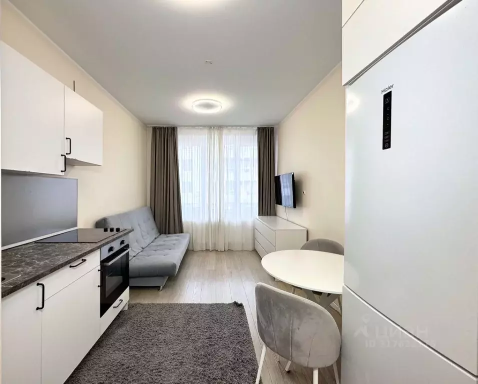 Студия Санкт-Петербург наб. Реки Каменки, 11к2 (20.5 м) - Фото 0