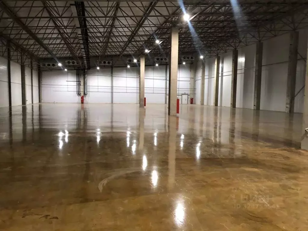 Склад в Ленинградская область, Ломоносовский район, Лаголовское с/пос, ... - Фото 1