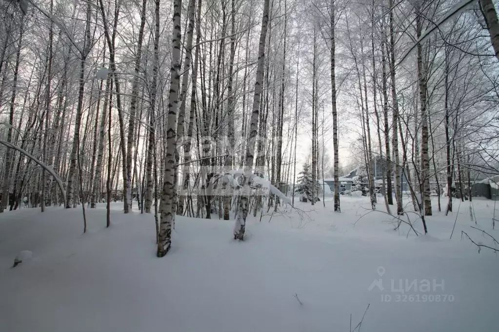 Участок в Ярославская область, Переславль-Залесский муниципальный ... - Фото 2