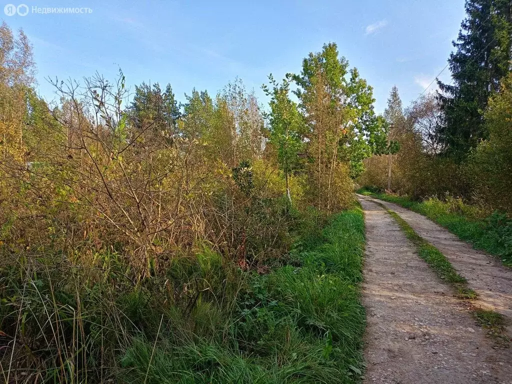 Участок в Панковское городское поселение, садоводческий массив № 3, ... - Фото 0