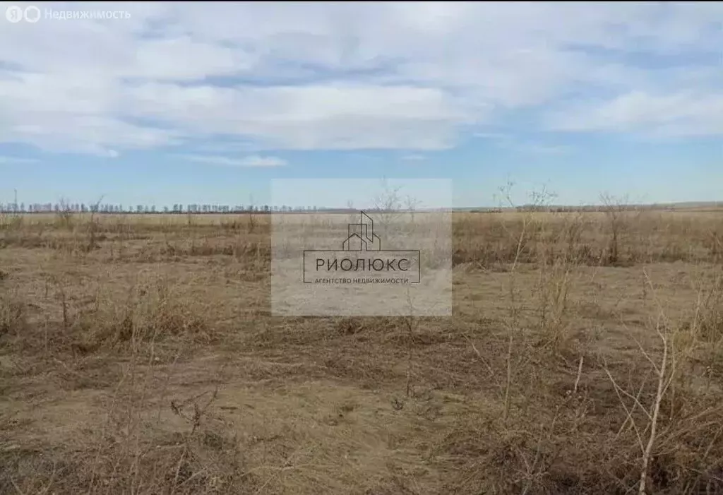 Участок в деревня Озёрное, Полевая улица, 106 (15 м) - Фото 0