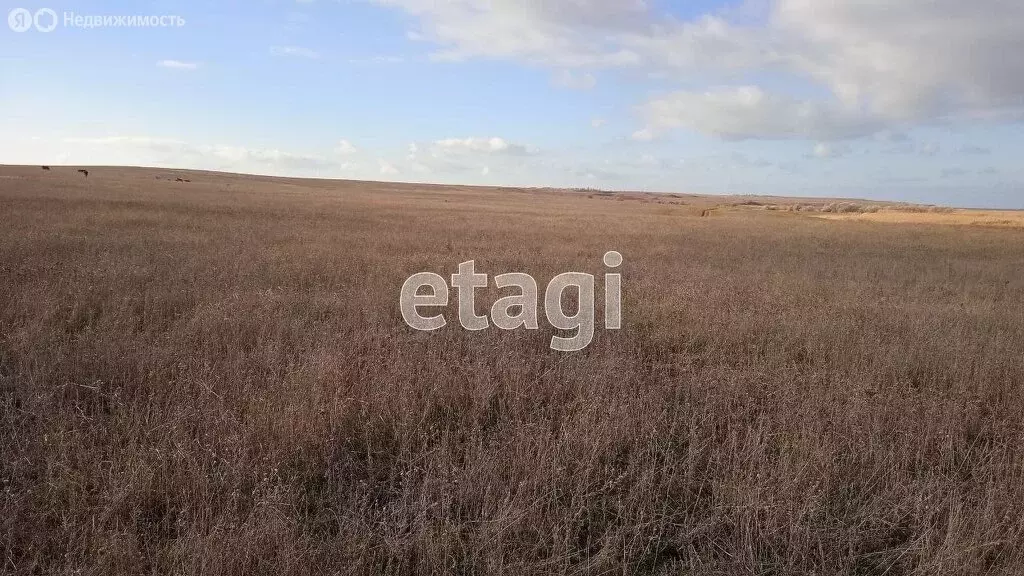 Участок в Сакский район, село Ивановка (8 м) - Фото 1