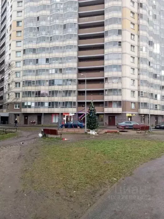 Студия Санкт-Петербург пос. Шушары, Школьная ул., 6к2 (25.0 м) - Фото 2