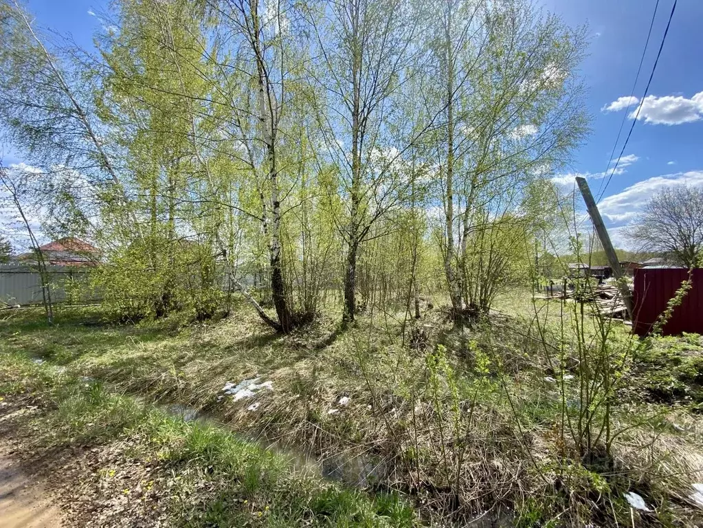 Участок в Владимирская область, Александровский муниципальный округ, ... - Фото 1