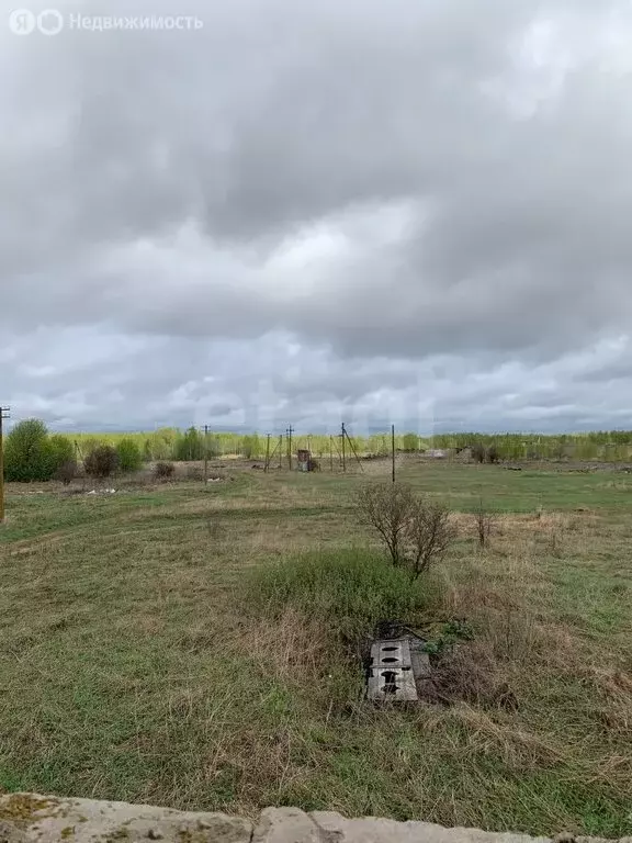 Дом в Ярославский муниципальный округ, деревня Бор (255.5 м) - Фото 1