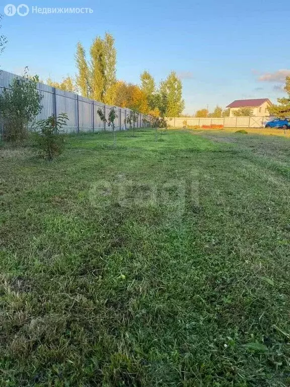 Участок в Рамонский район, Новоживотинновское сельское поселение, СНТ ... - Фото 2