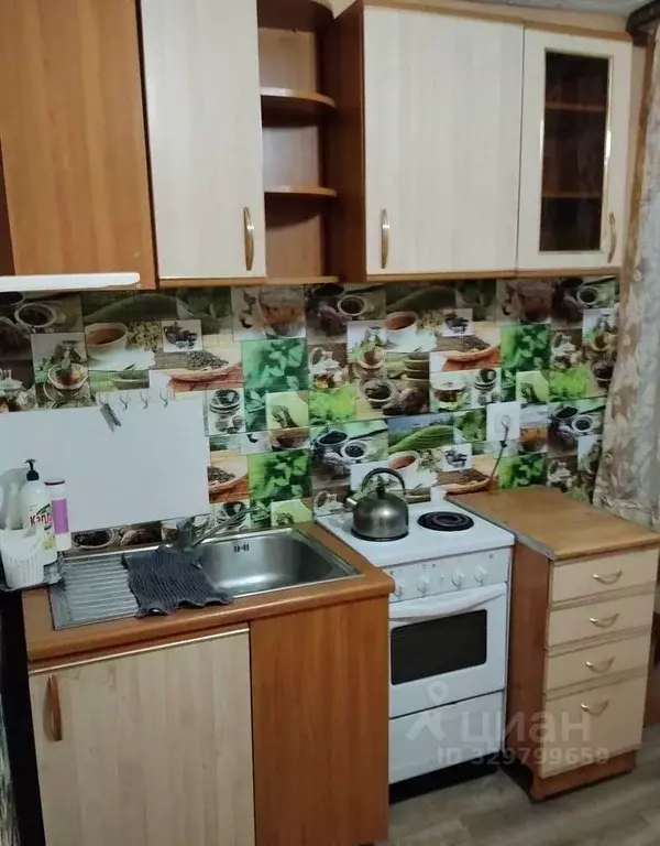 1-к кв. Новосибирская область, Искитим Томская ул., 1А (29.0 м) - Фото 2