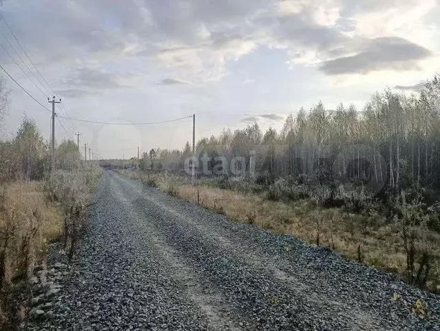 Участок 30 сот. (СНТ, ДНП) - Фото 0