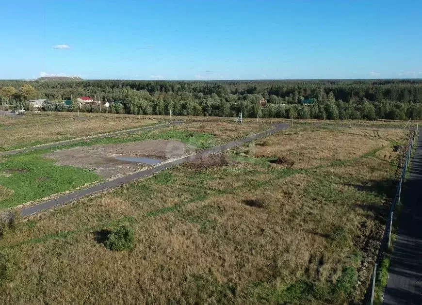 Участок в Ленинградская область, Всеволожский район, Романовское ... - Фото 0