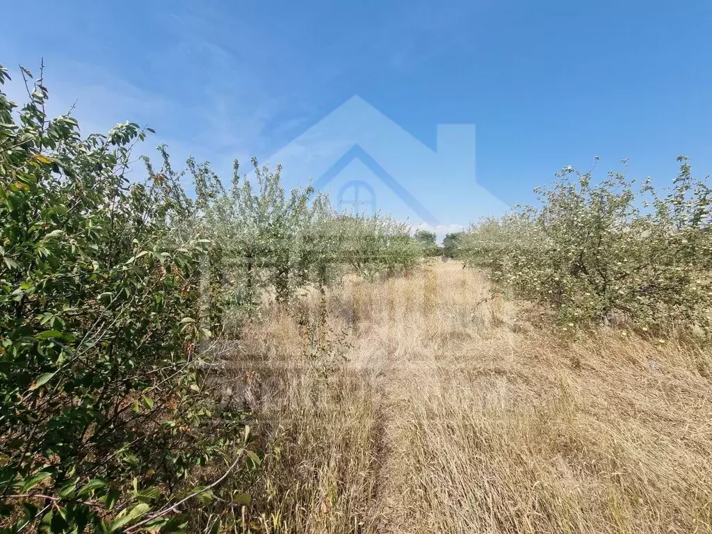 Участок в Ростовская область, Неклиновский район, Натальевское с/пос, ... - Фото 2