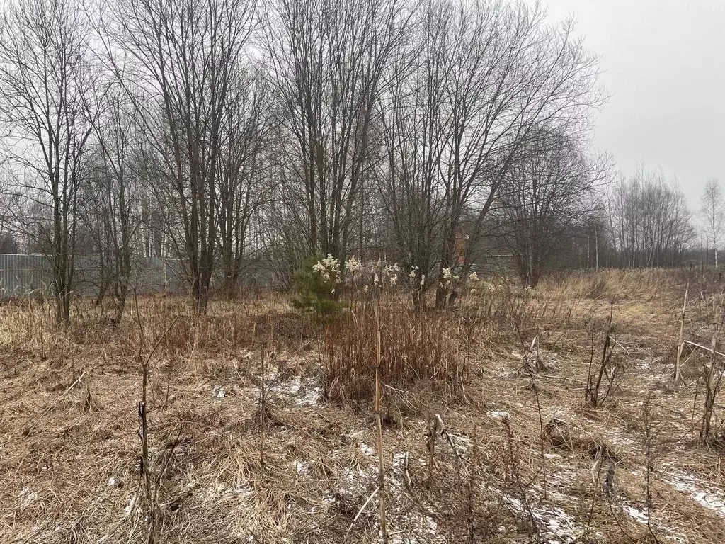 Участок в Московская область, Воскресенск городской округ, д. Губино ... - Фото 0